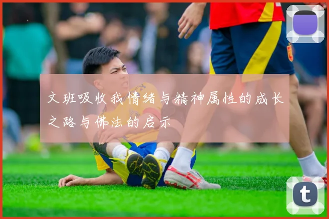 文班吸收我情绪与精神属性的成长之路与佛法的启示